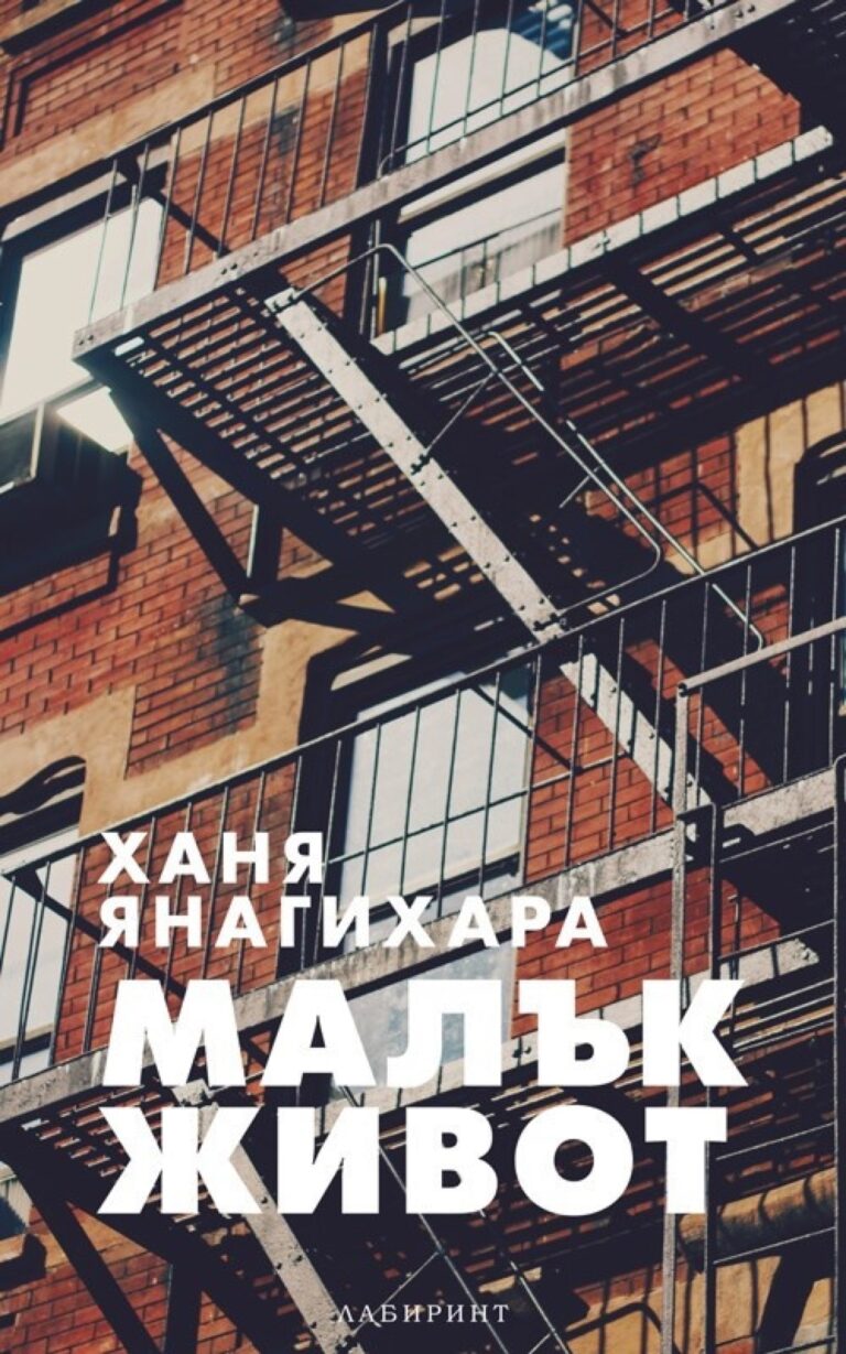 Корица на „Малък живот“