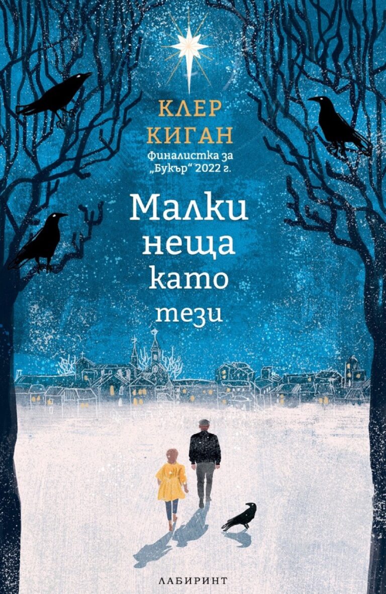 Корица на „Малки неща като тези“