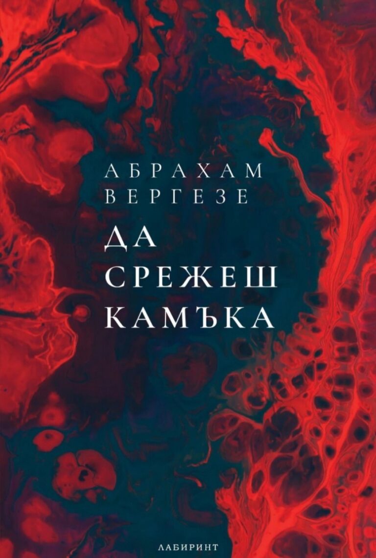 Корица на „Да срежеш камъка“