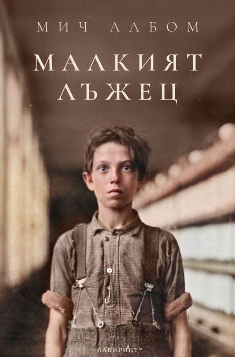 Корица на „Малкият лъжец“